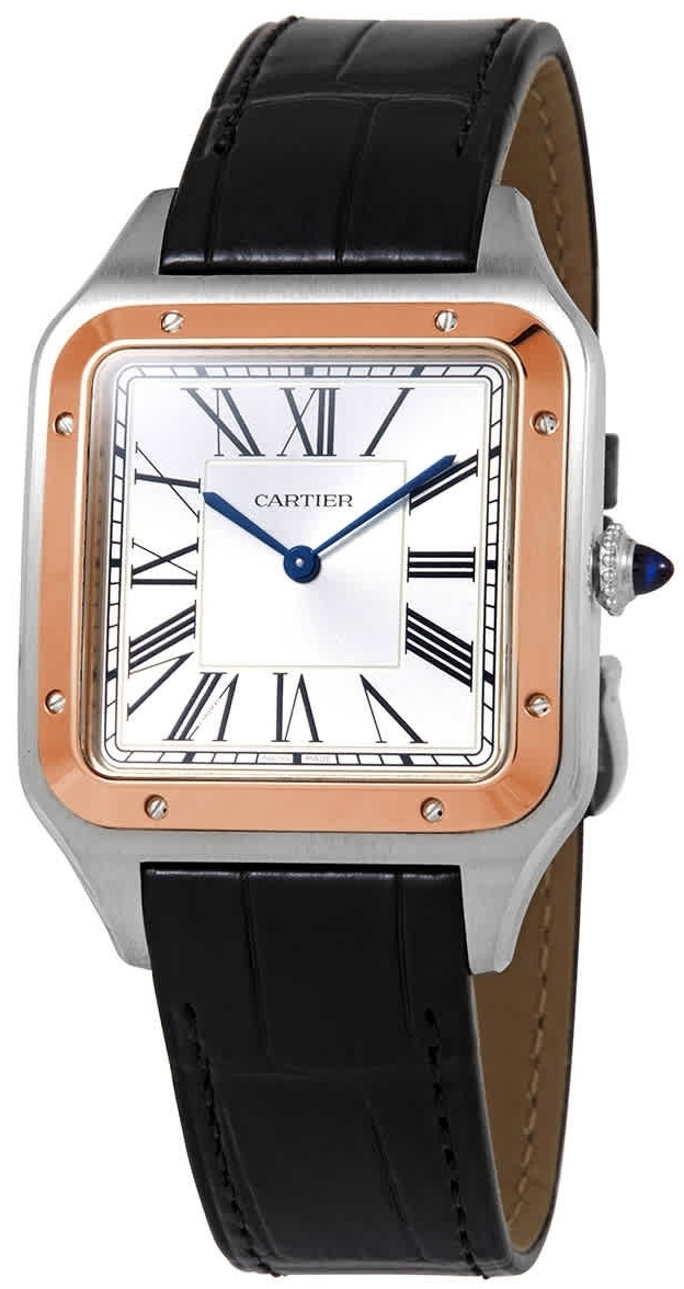 Cartier Herrklocka W2SA0017 Santos Dumont Silverfärgad/Läder - Cartier