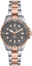 Fossil Blue Dive