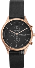 Skagen Jorn
